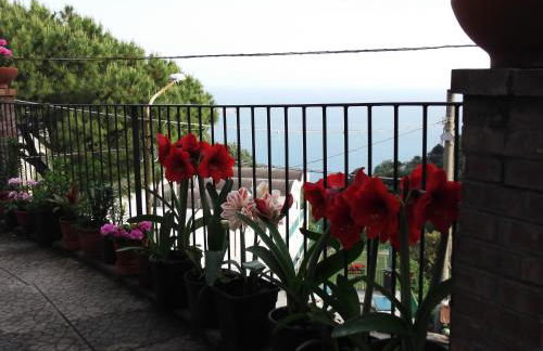 Le Mimose - Photo 47