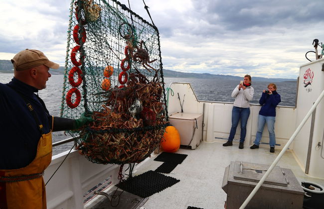 Nuorgam Holiday Village - Foto 34