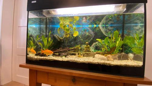 Gemütliche Handwerkerwohnung - Foto 3