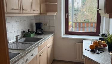 4 sleep Apartments KARL - Foto 4, stove, dishwasher