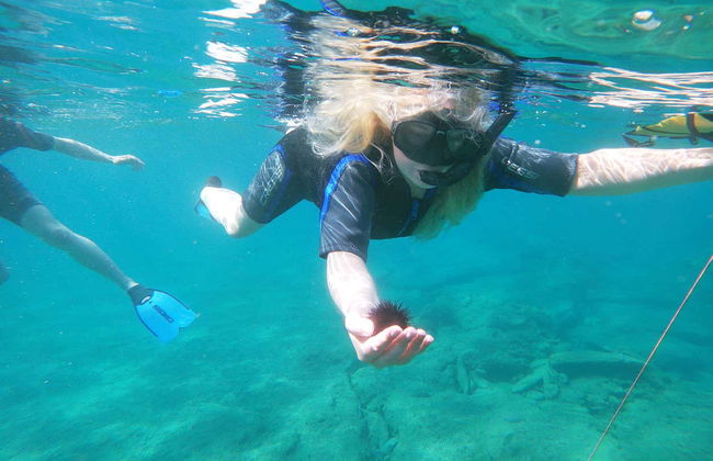 Snorkel em Agia Pelagia - Foto 11