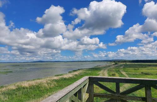 Greyówka dom kryty strzechą w Gardna Park - Foto 33