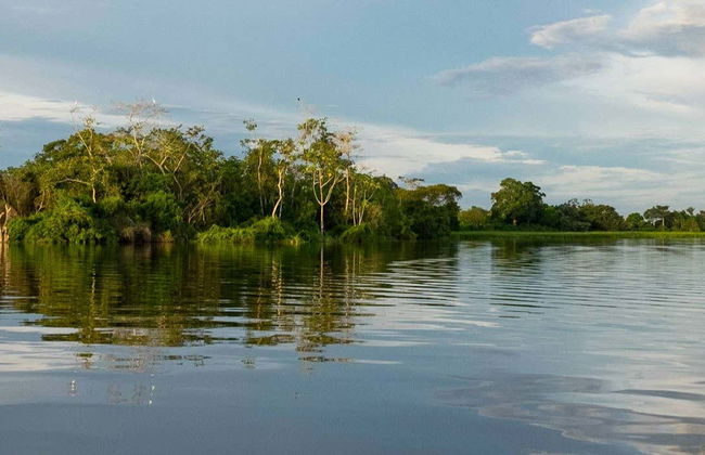 Visite du Parc Naturel de Pucallpa et du Musée Régional - Photo 1