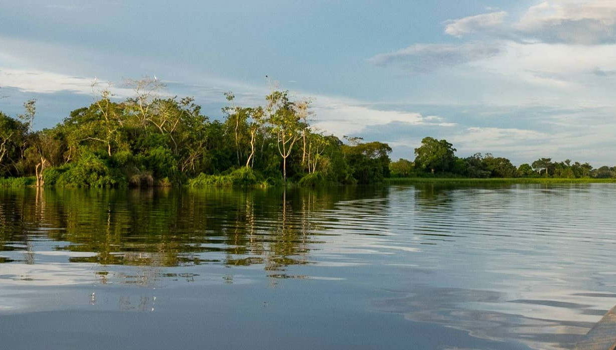 Tour por el Parque Natural de Pucallpa y Museo Regional