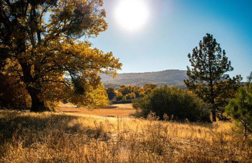Award-Winning A-Frame with Views and Cedar Hot Tub - Foto 58