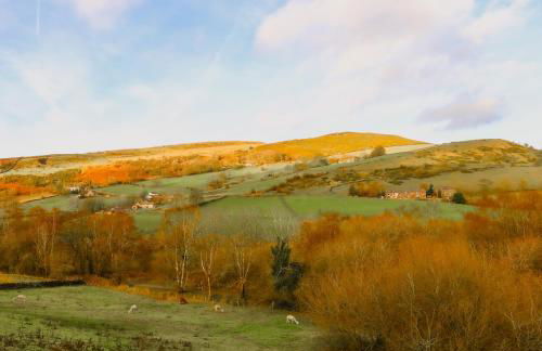 The Cosy by Birch Stays - Photo 10