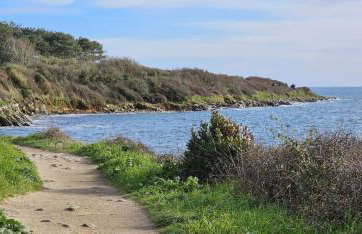 La petite godaille - Foto 34