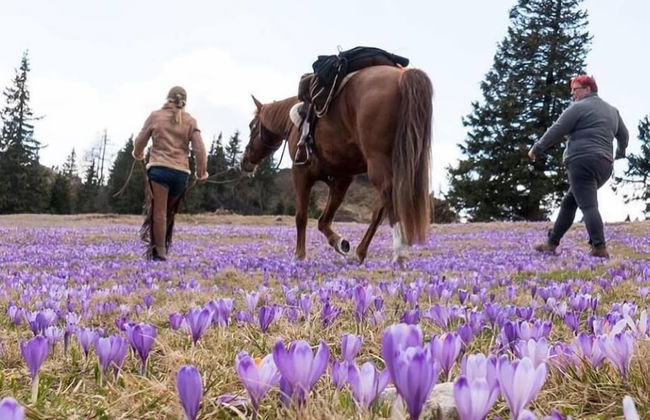 Ranch Marina - Photo 6