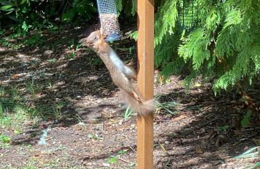 Clashmore House Garden Cottage Dornoch - Foto 27