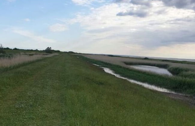 Island Nest Modern Retreat - Foto 19