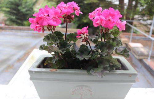 Neat, bright, and convenient. - Foto 6