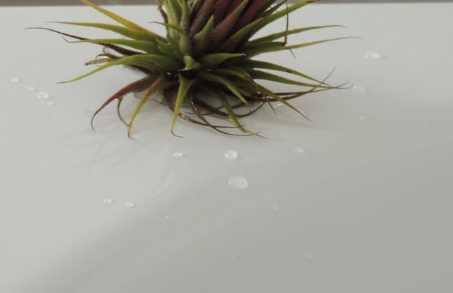 Mirador Ardea Mendixur - Foto 6