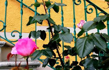 Agriturismo Conca Sandra - Farm Stay on Lake Como - Foto 57