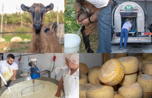 father's house in kissamos - Foto 32