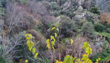 maison casa nova - Foto 3