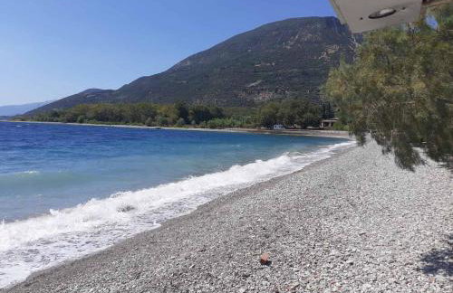 Glyfada's Family Apartment - Photo 47