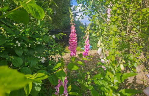 Riverside - Photo 35