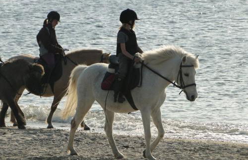 Apfelgartenhaus 2 - Foto 9