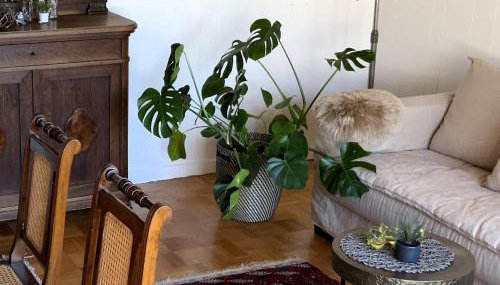 Ferienwohnung Ruth - Foto 4