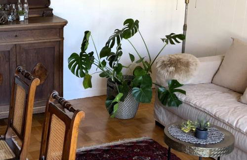 Ferienwohnung Ruth - Foto 4