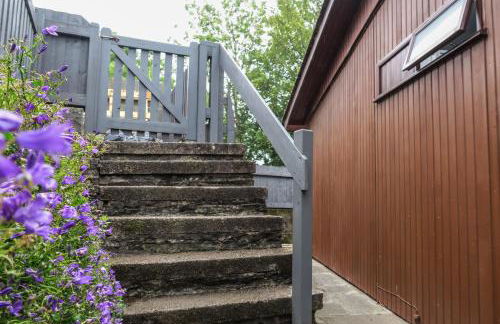 Riverside Chalet in heart of Lampeter, West Wales - Foto 19