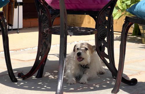 TVF Stable Suites - Foto 17