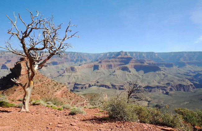 Grand Canyon Tour + Private Flights - Foto 8