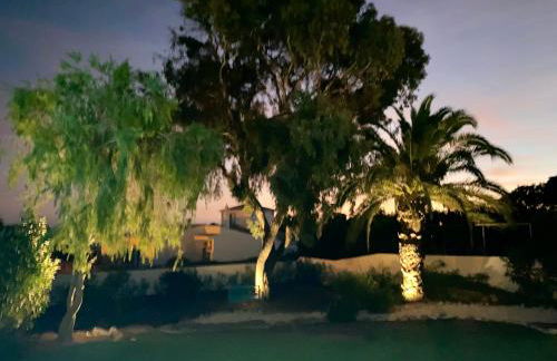 Torre de Cima - Foto 45