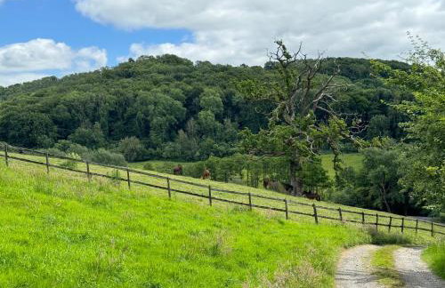 The Spring Slad Valley Cotswolds - Foto 19