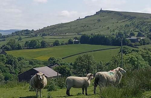 Cosy Shay Bank Cottage w/ Kingbed - Near Skipton. - Foto 19