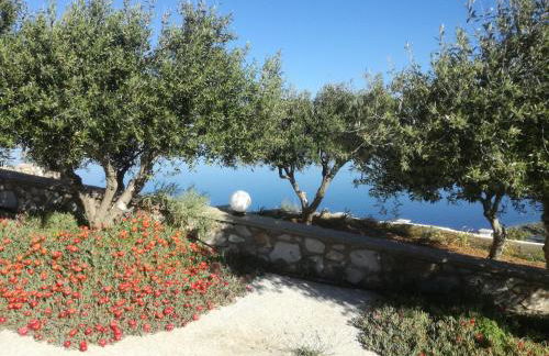 Sarris Planet - Photo 79