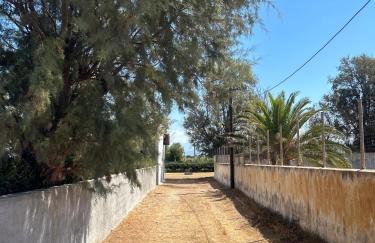 Celeste Beach Escape - Foto 28