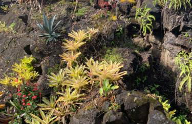 Exotic Garden cottage at amazing volcano fissure - Foto 80