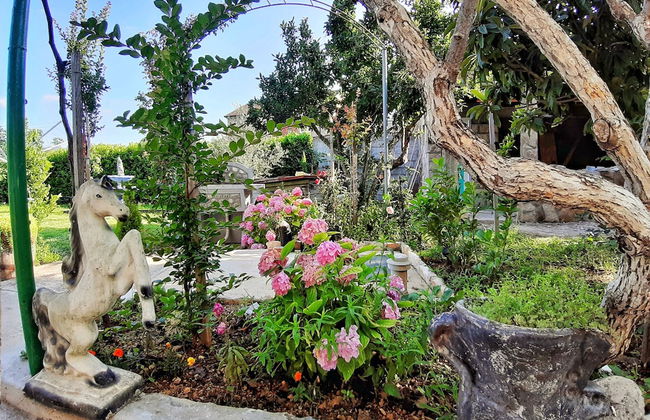 Villa Mimoza Blagaj - Foto 33