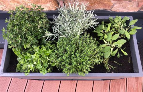 Tauber Sonnen Lodge - Foto 41