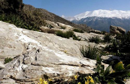 Orne Magical Retreat - Foto 29