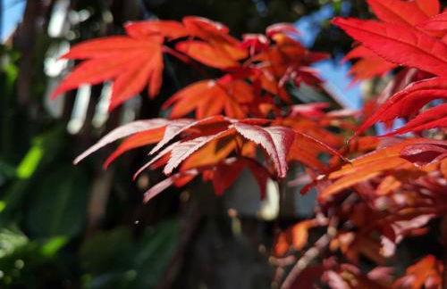 O Refúgio - Espaço natural, amplo e privado - Photo 10