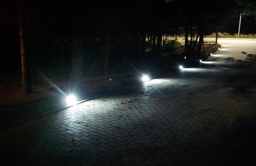 Świerkowisko cisza las plaża blisko - Foto 74