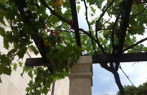 Villa Katja - Photo 68