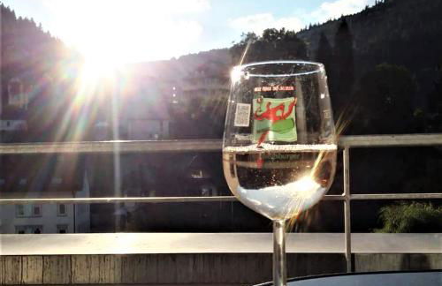 Ferienwohnung Enzblick - Foto 13