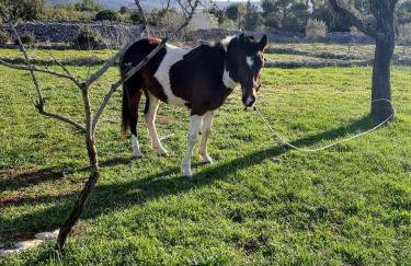 Hvar Mediterranean Ranch House - Foto 79