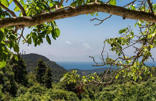 Pyrgos Country House - Foto 36