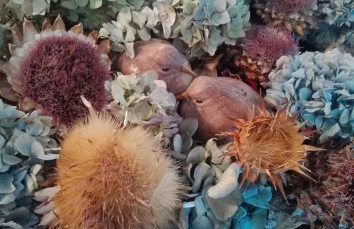 Casa da Varanda Verde - Photo 27