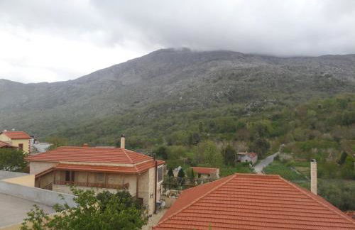 Tulip House - Foto 16