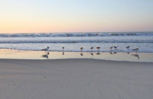 Gertie Downtown - Foto 34