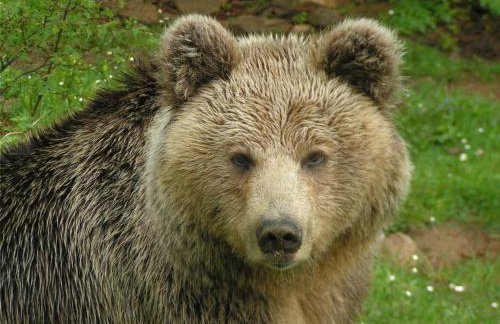 ΒΙΟΚΛΙΜΑΤΙΚΟ ΗΛΙΟΠΕΤΡΟΣΠΙΤΟ στην ΑΡΧΑΙΑ ΒΟΚΕΡΙΑ - Photo 39