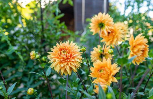 Hügelblick Oase - Foto 31