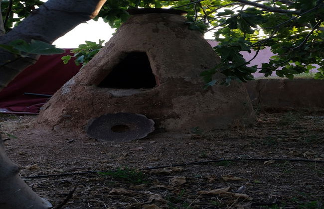 Ferme Andalousse - Foto 17