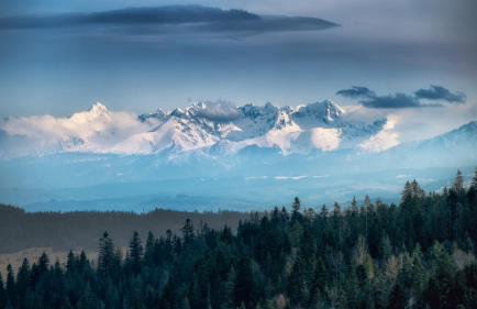 ORAWSKA CHATA domek z balią pod Babią Górą - Foto 6