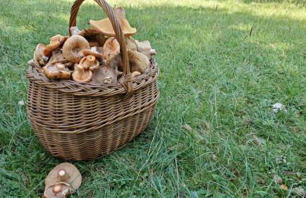 Chalet en la montaña - Foto 14